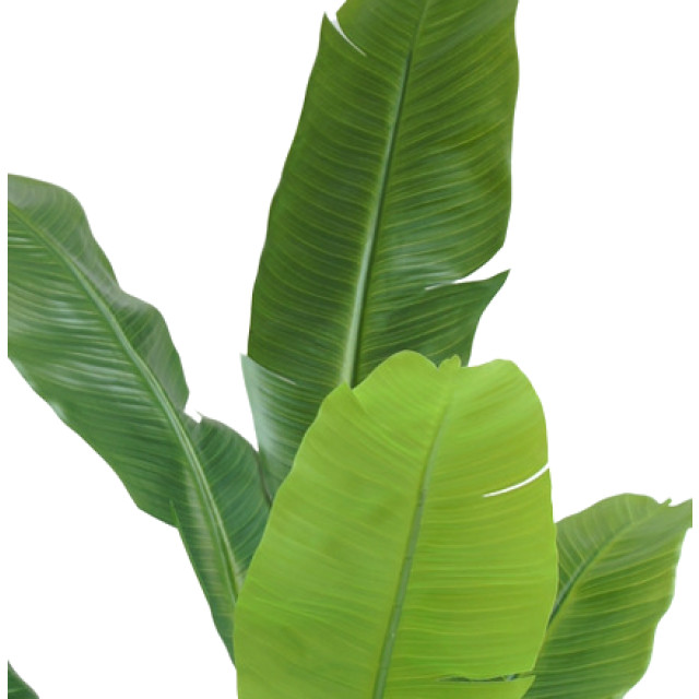 Hoyz Greenery kunstplant strelitzia nicolai 120 cm 2945867 large