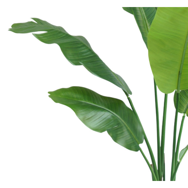 Hoyz Greenery kunstplant strelitzia nicolai 120 cm 2945867 large