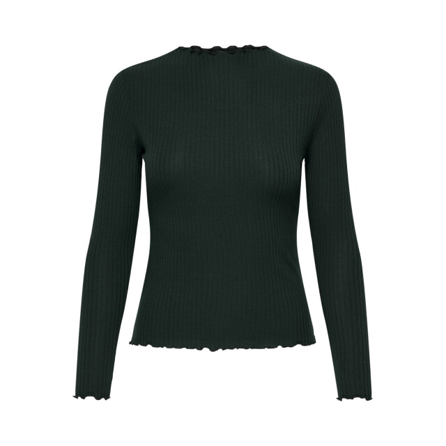 Only Onlemma ls high neck top noos jrs donker 4389.27.0024 large Only Onlemma ls high neck top noos jrs donker 4389.27.0024 large