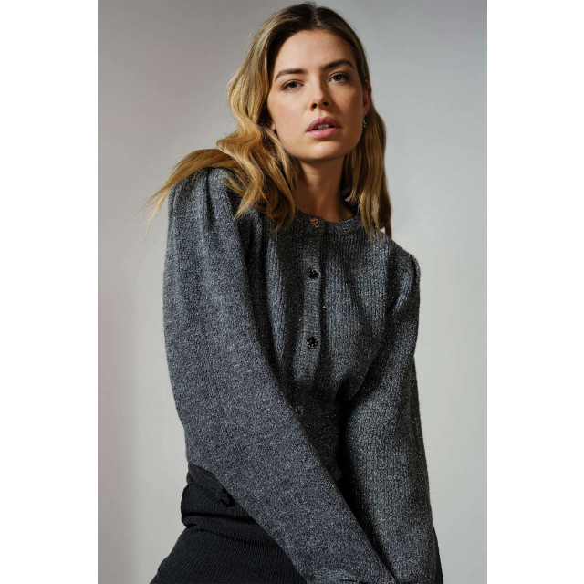 Tramontana Cardigan grey O04-13-701-007000 large