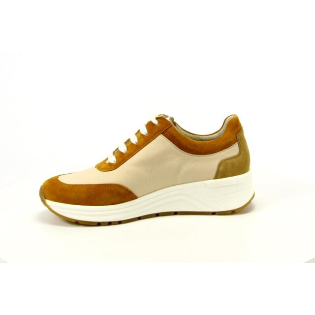 Solidus 46022 46022 Holly large
