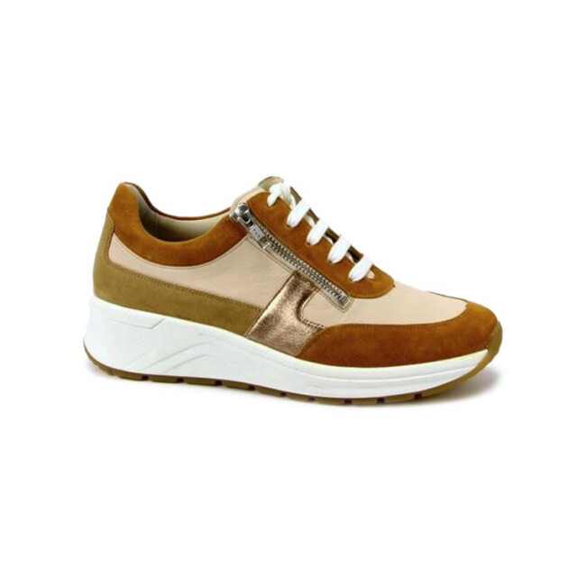 Solidus 46022 46022 Holly large