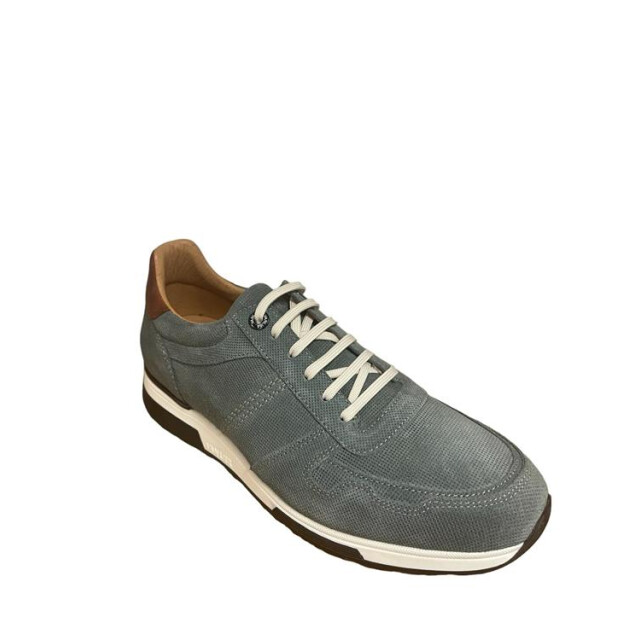 Van Lier 2415512 2415512 large