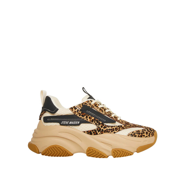 Steve Madden Possession e sneaker possession-e-sneaker-leopard-00056393-leopard large