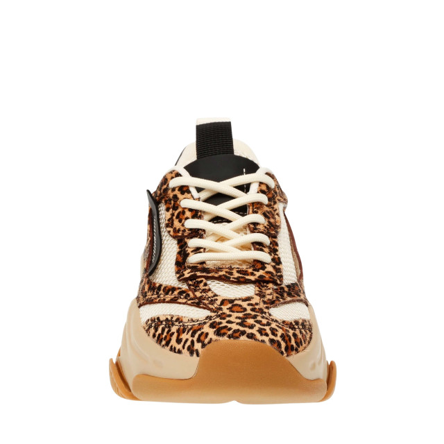 Steve Madden Possession e sneaker possession-e-sneaker-leopard-00056393-leopard large