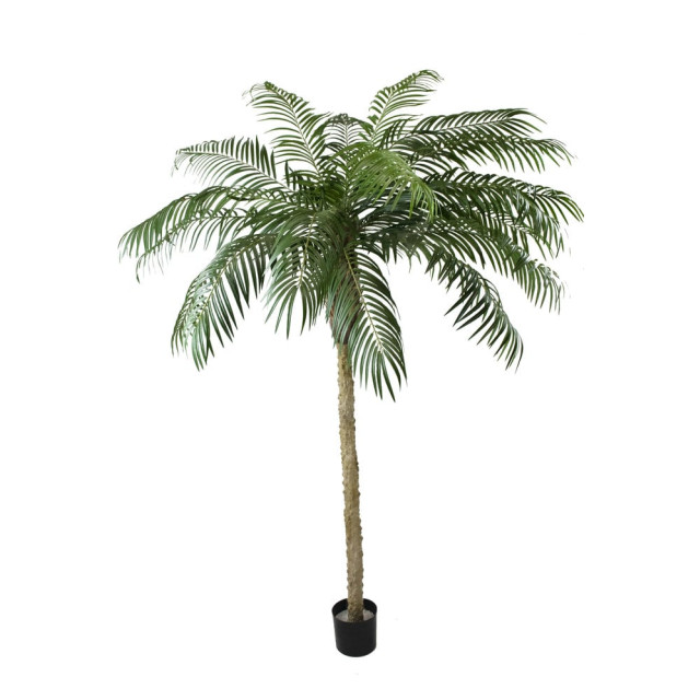 Hoyz Greenery kunstpalm phoenix de luxe 250 cm 2945782 large