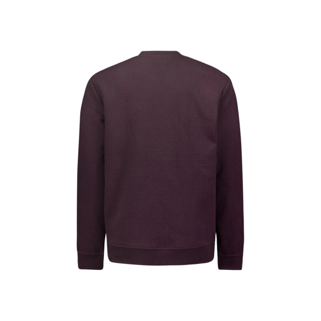 No Excess Heren sweater 25100908 083 aubergine No Excess Sweater 25100908 083Aubergine large