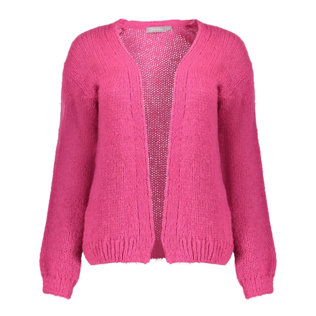 Geisha 44585-70 451 cardigan basic raspberry 44585-70 451 large