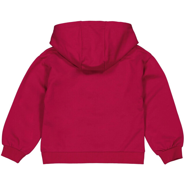 Quapi Meisjes hoodie dianne - QW242 - DIANNE - 4009 large