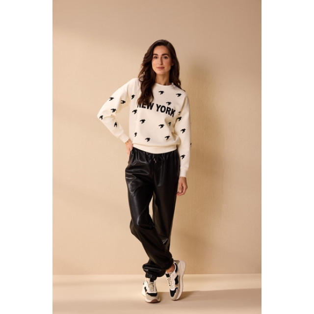 Lady Day Amsterdam sweater stella champagne 0-6-1-2-1-1-1-1-1-4-1-2-2-1-1-1-2-1-1-1-1-2-2-3-1-1-1-1-1-1-2-1-1-1-1-1-1-2-1-1-2-1-1-2-1-1-1-2-2-1-1 large