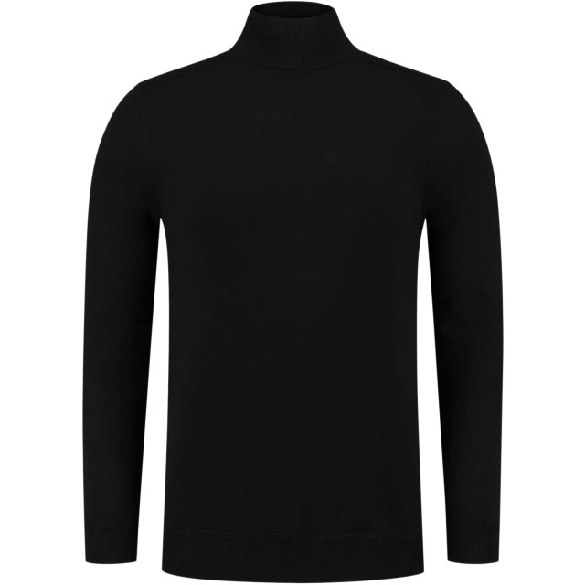 Pure Path Regular fit knitwear mockneck ls 24030805-02 large