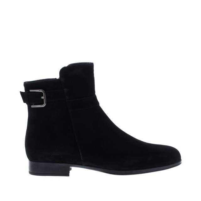 Di Lauro Vie hielgesp suede | dames | maat: | suede 109539 large