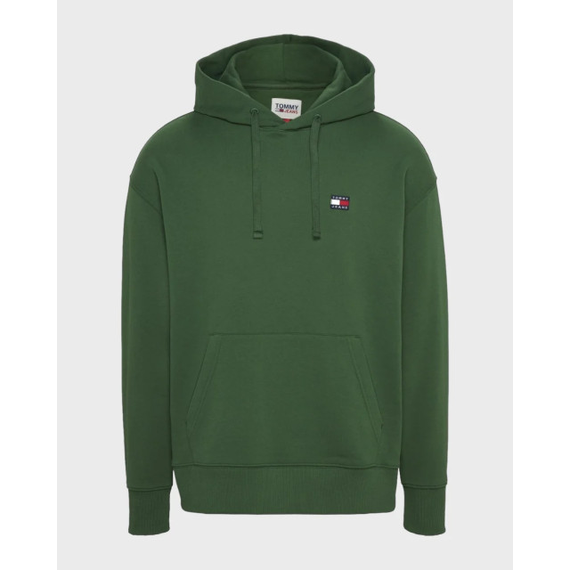 Tommy Hilfiger Tommy hilfiger hoodie Tommy Hilfiger Groen Regular Plus Hoodie large