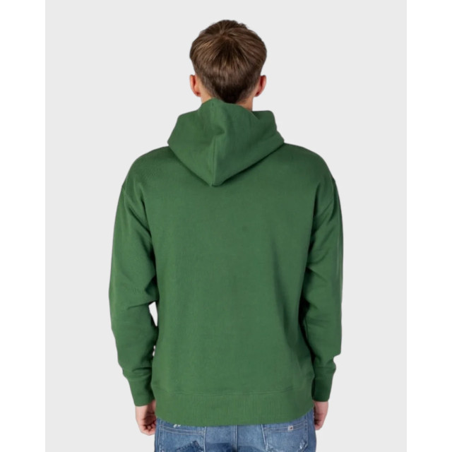 Tommy Hilfiger Tommy hilfiger hoodie Tommy Hilfiger Groen Regular Plus Hoodie large