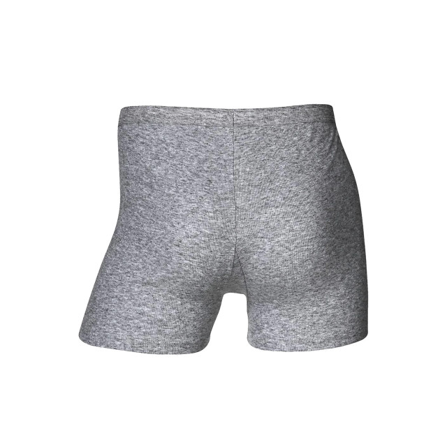 JBS Heren boxershort met gulp JBS-325-06-05 large