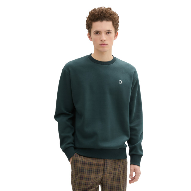 Tom Tailor Crew neck with print 1043701 large