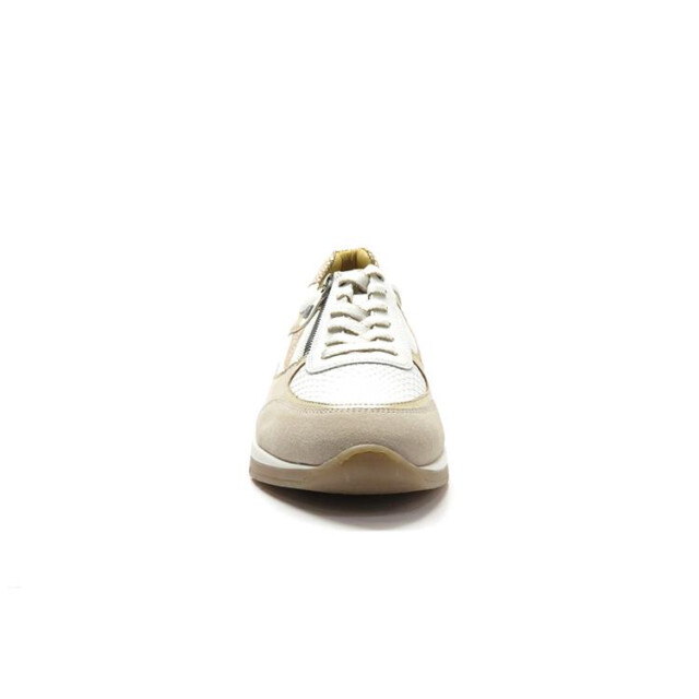 Helioform 249.001 249.001 large