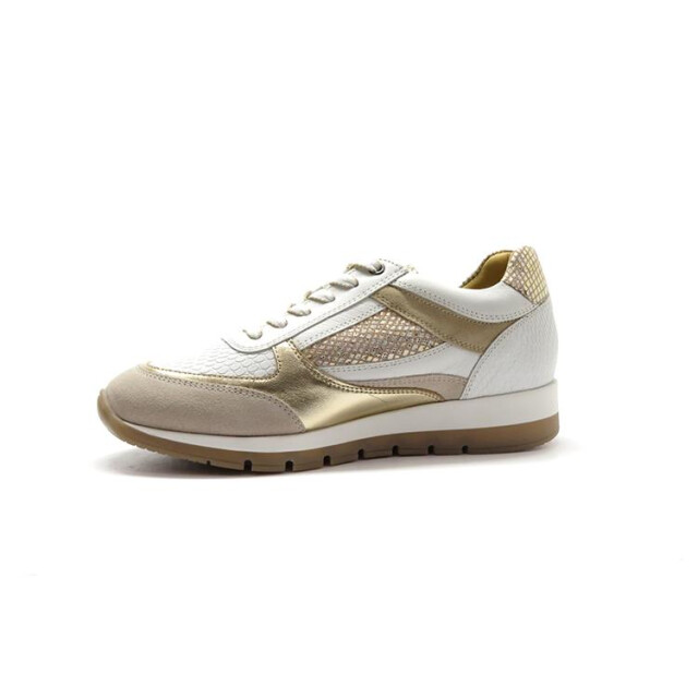 Helioform 249.001 249.001 large