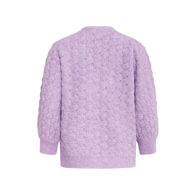 Smashed Lemon 24618 300 knit trui lilac 24618 300 large