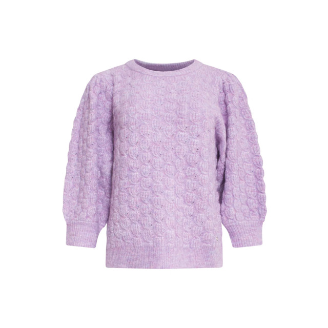 Smashed Lemon 24618 300 knit trui lilac 24618 300 large