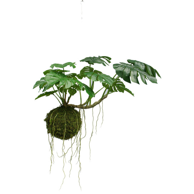 Hoyz Greenery kunst hangplant monstera deluxe 60 cm 2945766 large