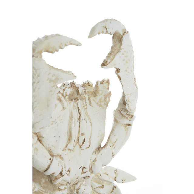 Light & Living ornament crab 23x12.5x42.5cm - 2946310 large