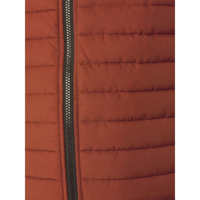No Excess Jacket hooded short fit padded rusty 25630805-092 large