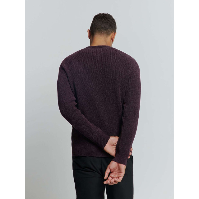 No Excess Pullover crewneck 2 coloured chenil aubergine 25210917-083 large