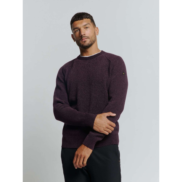 No Excess Pullover crewneck 2 coloured chenil aubergine 25210917-083 large