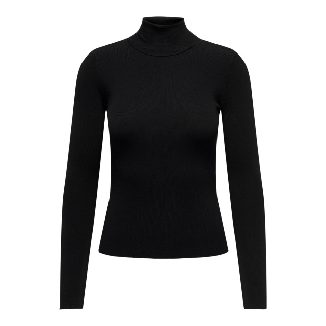 Jacqueline de Yong Jdycirkeline ls roll neck pullover - 4219.80.0253 large