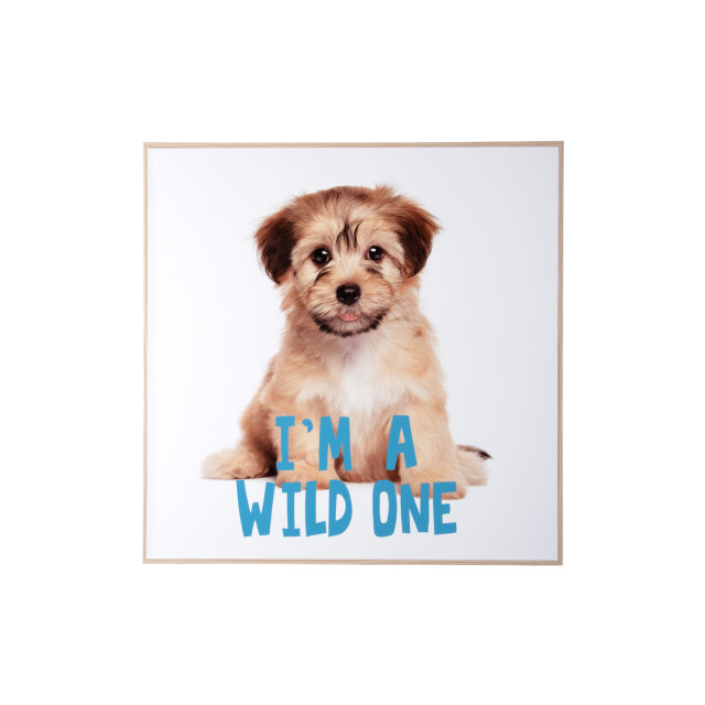 Present Time wall art puppy i'm a wilde one - 2947326 large