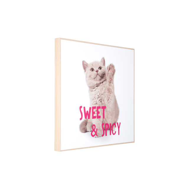 Present Time wall art kitten sweet & spicy - 2947328 large