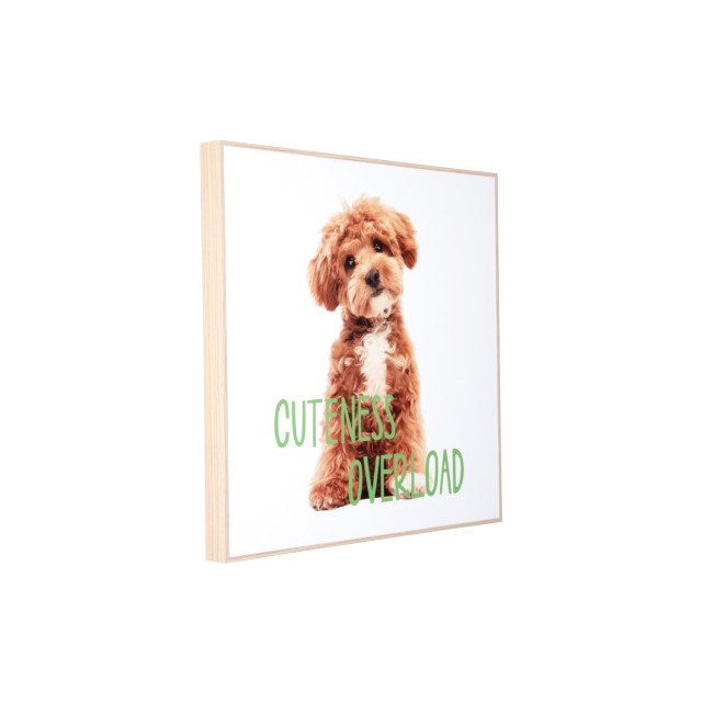 Present Time wall art puppy cuteness overload - 2947327 large