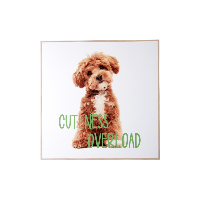 Present Time wall art puppy cuteness overload - 2947327 large