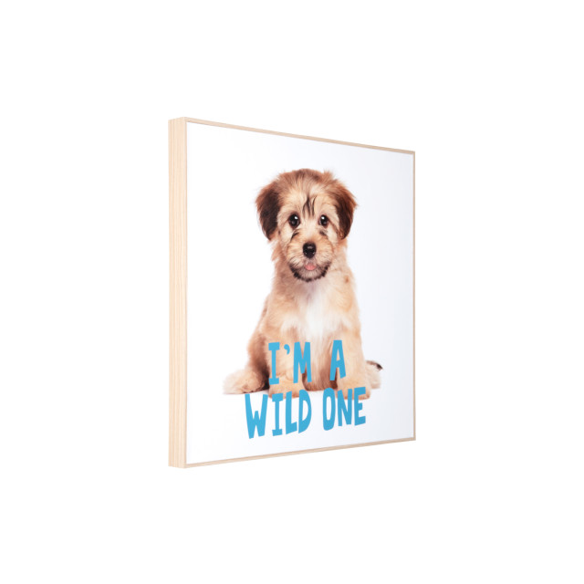 Present Time wall art puppy i'm a wilde one - 2947326 large