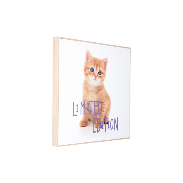 Present Time wall art kitten limited edition - 2947329 large