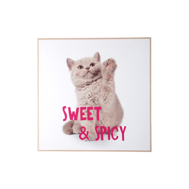 Present Time wall art kitten sweet & spicy - 2947328 large