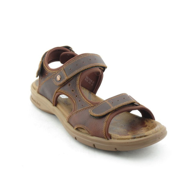 Panama Jack Salton Explorer C2 Sandalen Bruin Salton Explorer C2 large