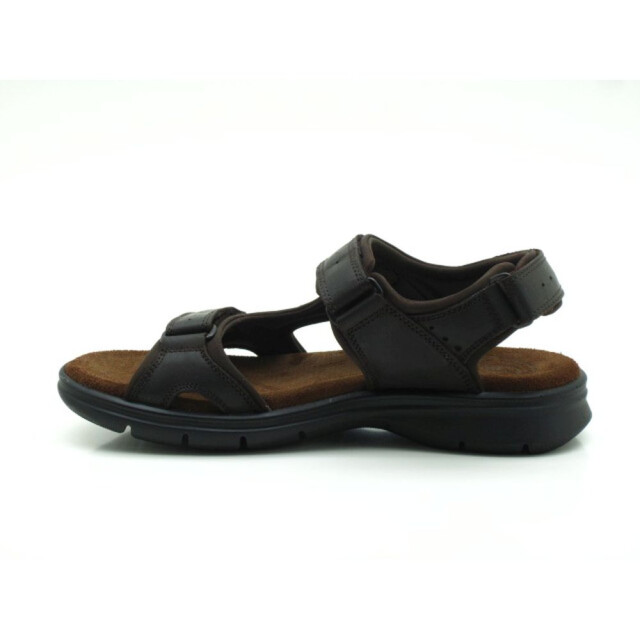 Panama Jack Salton Basics C1 Sandalen Bruin Salton Basics C1 large