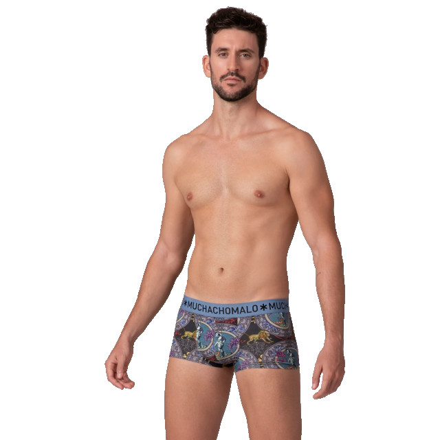 Muchachomalo Heren 2-pack trunks rome ROME3025-04 large