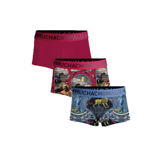 Muchachomalo Heren 3-pack trunks rome ROME3025-07 large