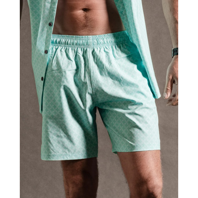 Kollekt Amalfi quickdry™ swimshort mint green 4163-422 large