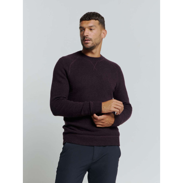 No Excess Pullover crewneck melange with wool aubergine 25210922-083 large