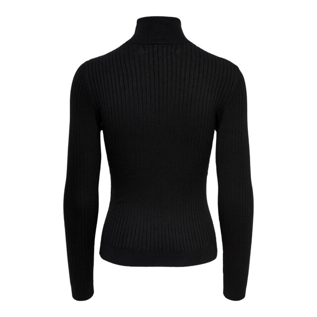 Only Onlkarol ls rollneckpullover - 4219.80.1483 large