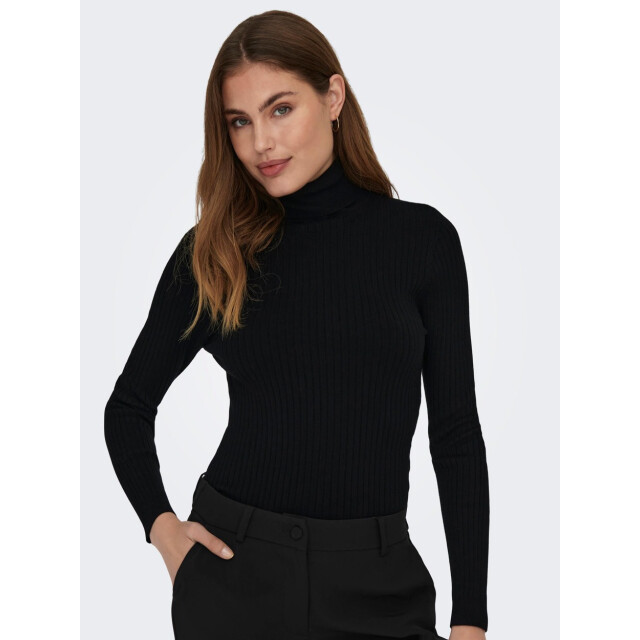 Only Onlkarol ls rollneckpullover - 4219.80.1483 large