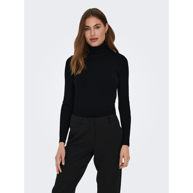 Only Onlkarol ls rollneckpullover - 4219.80.1483 large