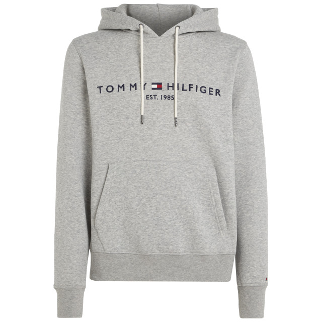 Tommy Hilfiger Menswear hoodie 056751-001-S large