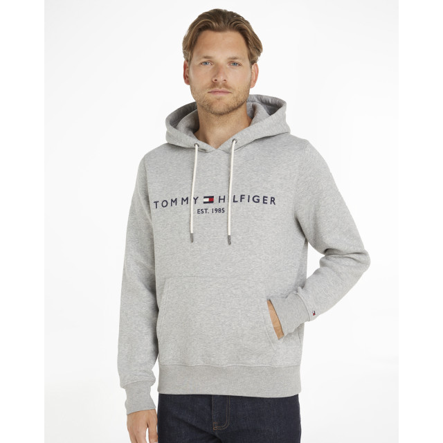 Tommy Hilfiger Menswear hoodie 056751-001-S large