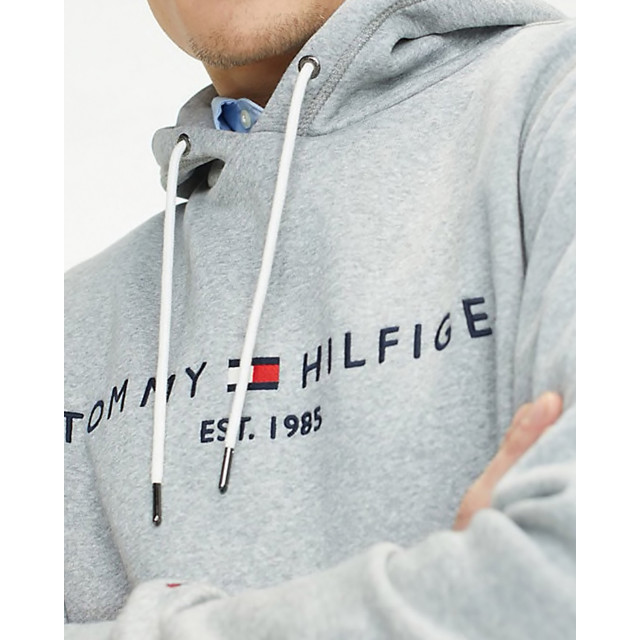 Tommy Hilfiger Menswear hoodie 056751-001-S large