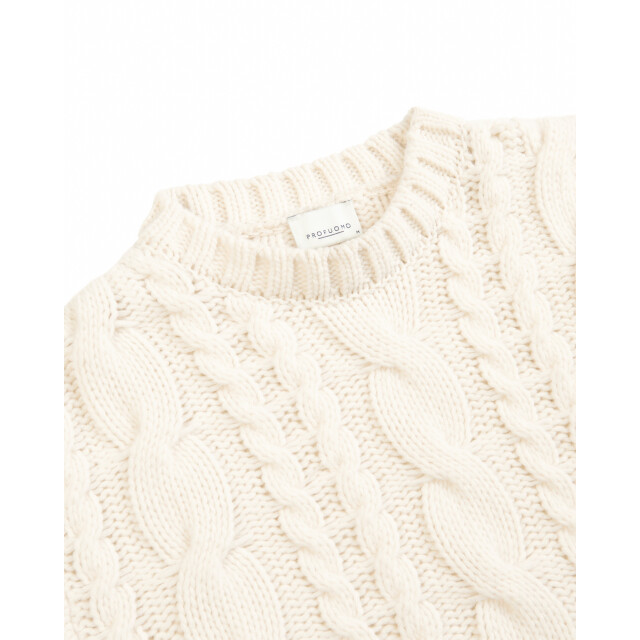 Profuomo Trui ronde hals 097420-001-XL large